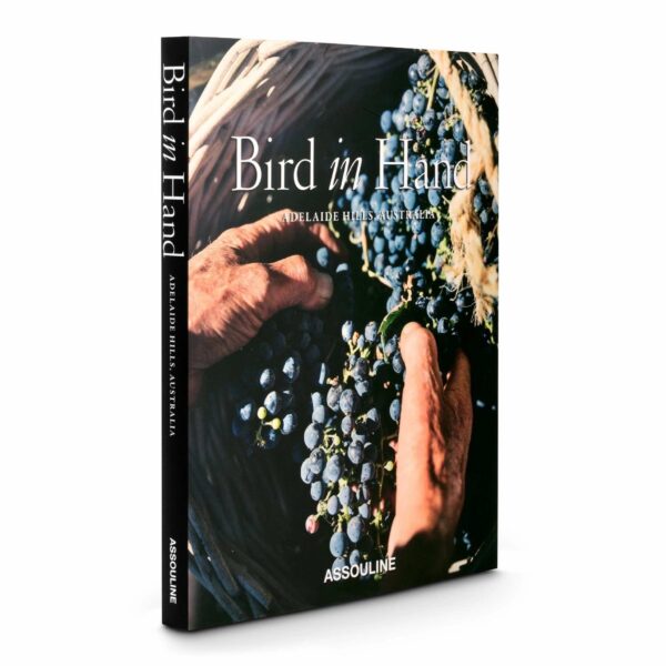 книга Bird in Hand