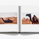 книга assouline camels from saudi arabia classic