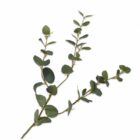 растение silk-ka eucalyptus spray green gray 79 cm
