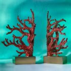 разделител за книги l'objet coral bookend