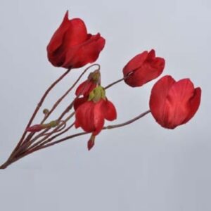 цвете silk-ka cyclaam bush red 41cm