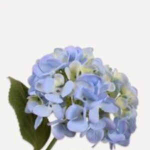 цвете silk-ka hydrangea stem blue green 46cm