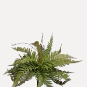 растение silk-ka fern bush green 60 cm