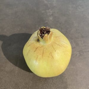 растение silk-ka pomegranate yellow 9 cm