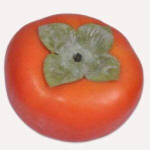 растение silk-ka tomato orange 8 cm