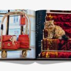 книга assouline chic cats