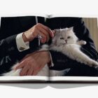 книга assouline chic cats