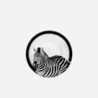 чаша за кафе с чинийка dolce and gabbana zebra busto porcelain espresso set