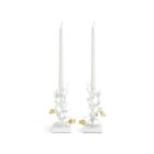 свещници michael aram pomegranate silver and gold
