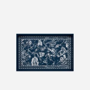 поднос dolce & gabbana zodiaco plexiglass